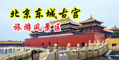 逼淫水AV中国北京-东城古宫旅游风景区